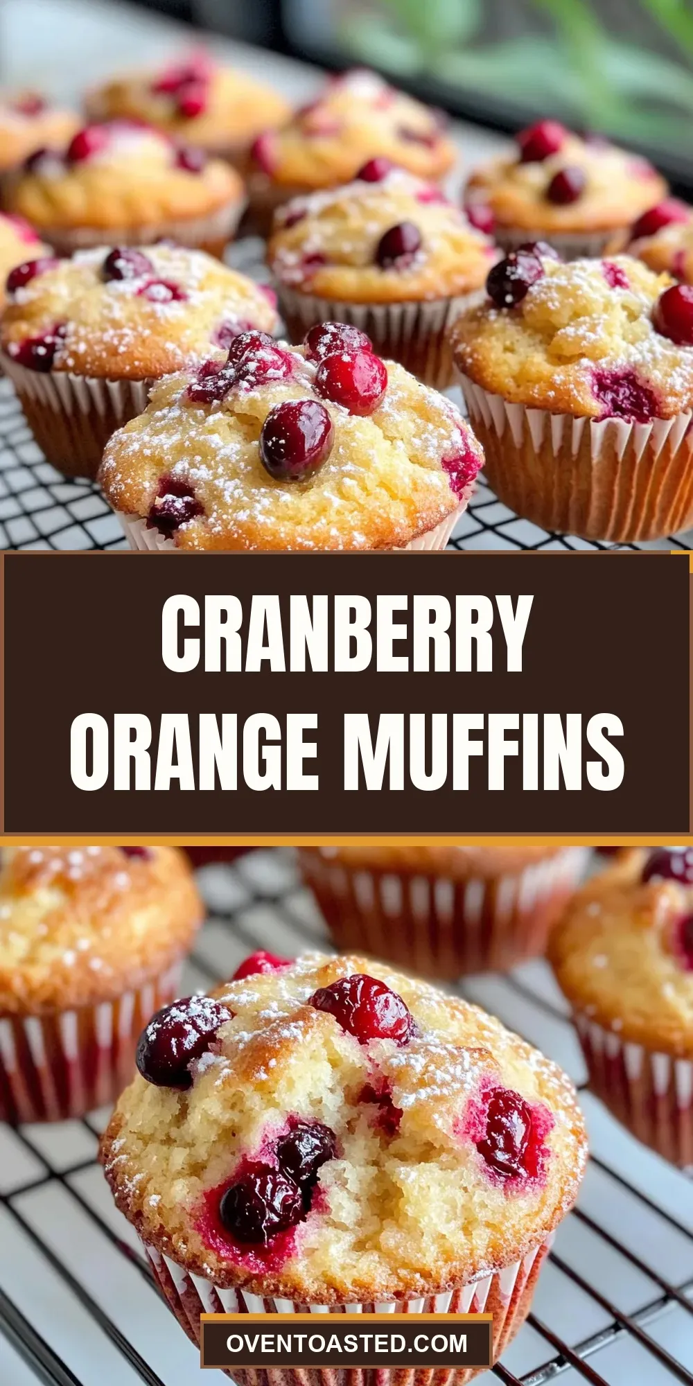 The Best Cranberry Orange Muffins Ever