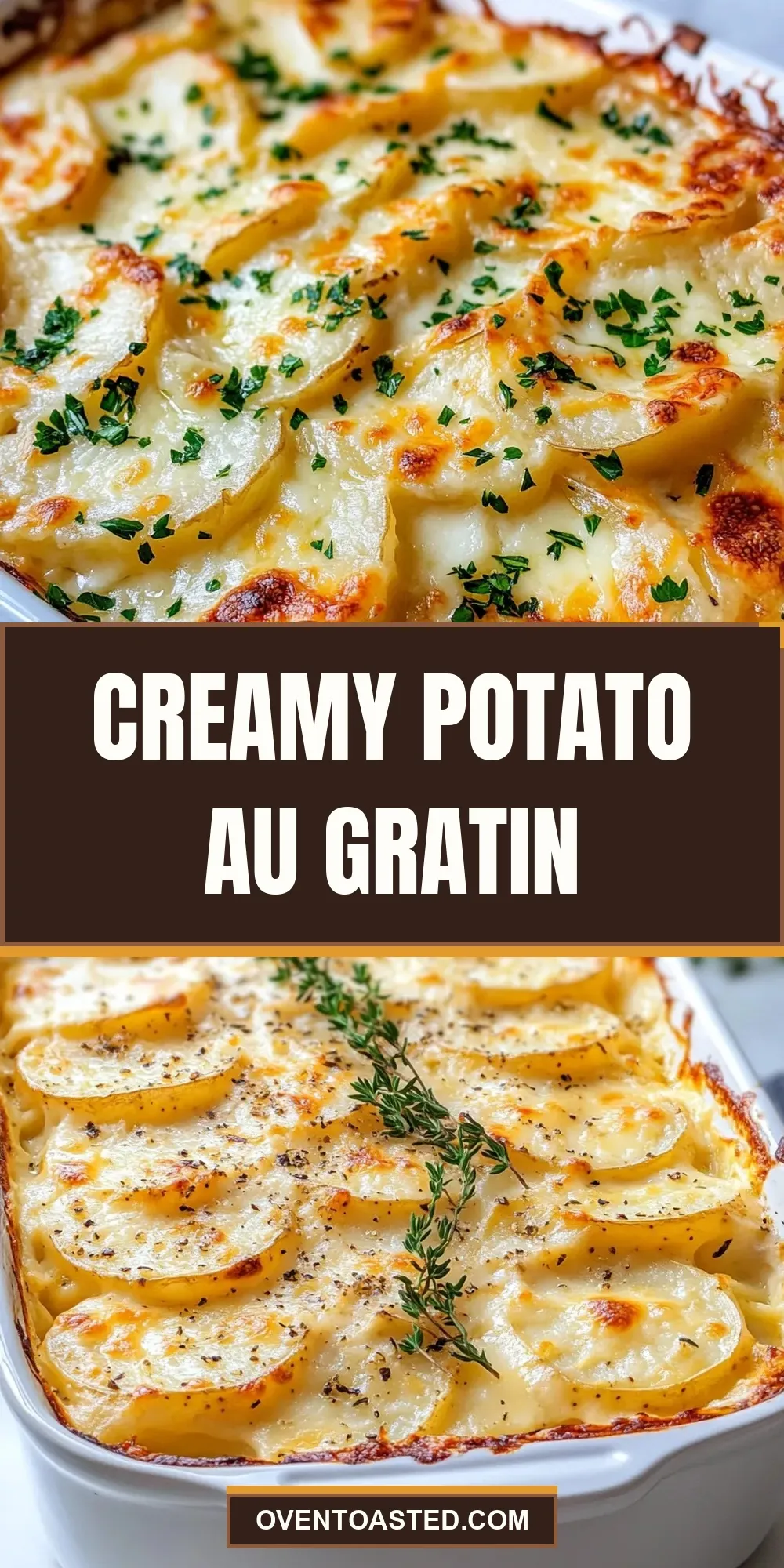 Delicious Creamy Potato Au Gratin