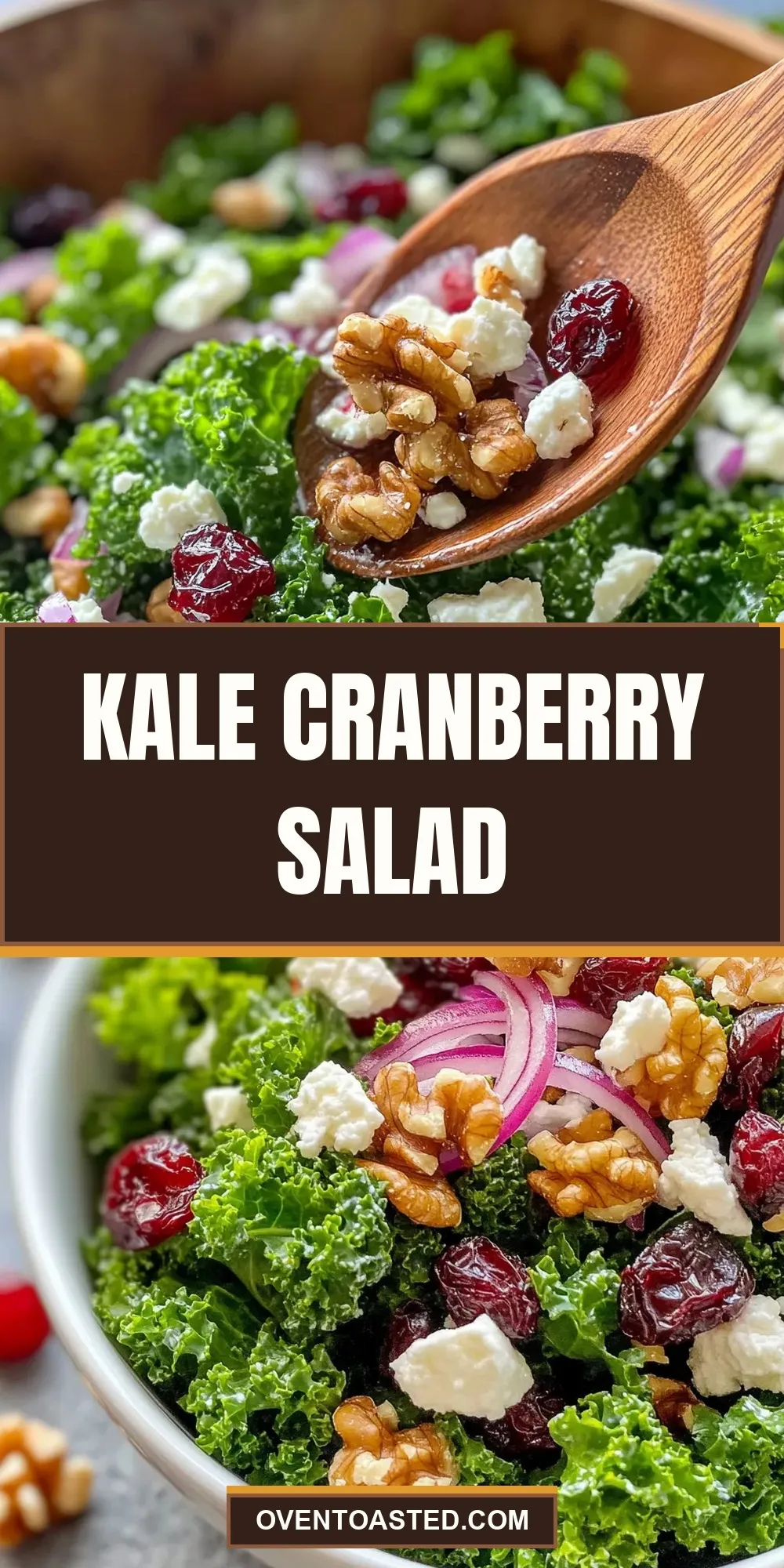 Kale Cranberry Salad (Homemade & Delicious)