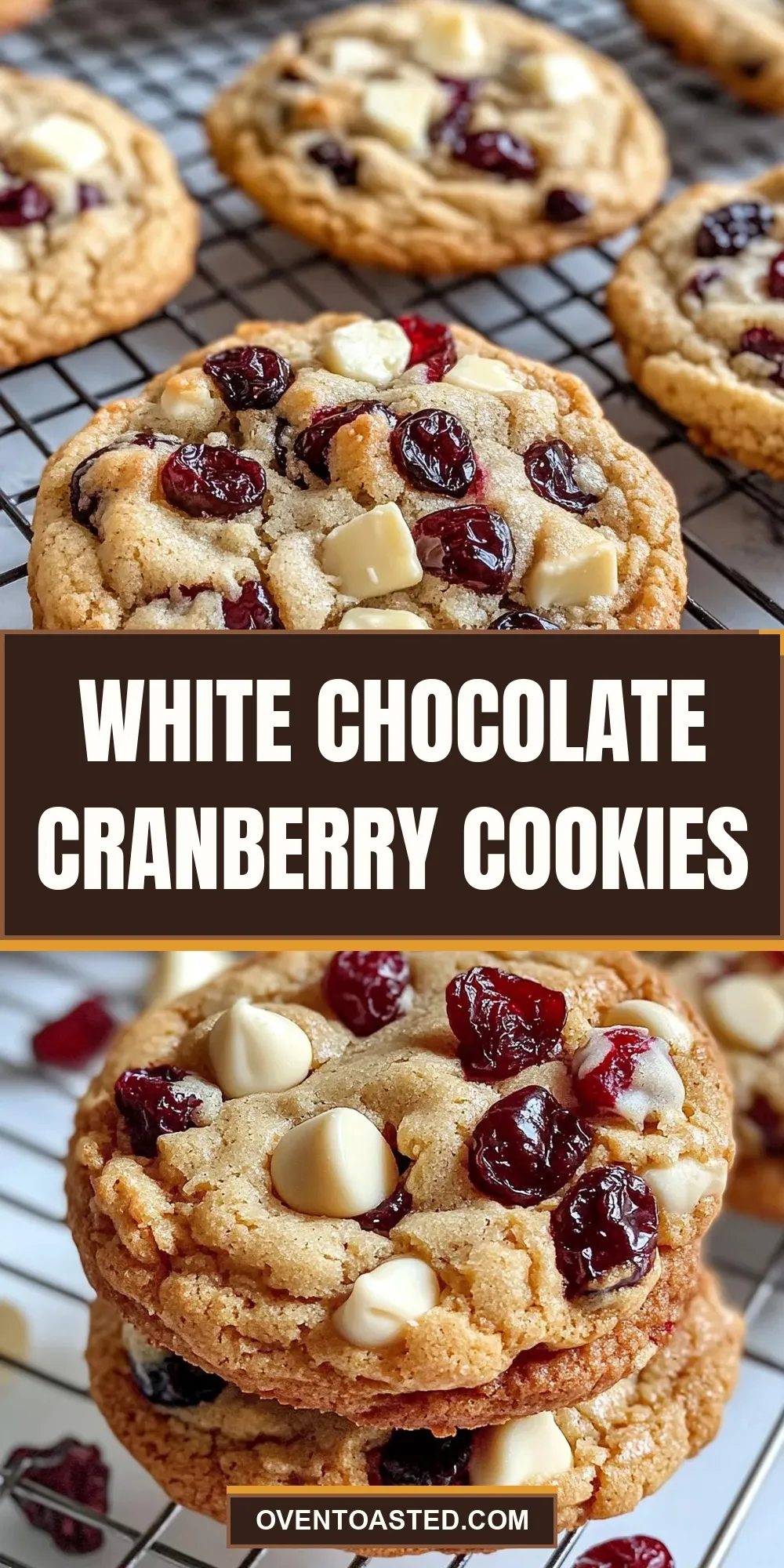 White Chocolate Cranberry Cookies (Amazing & Delicious)