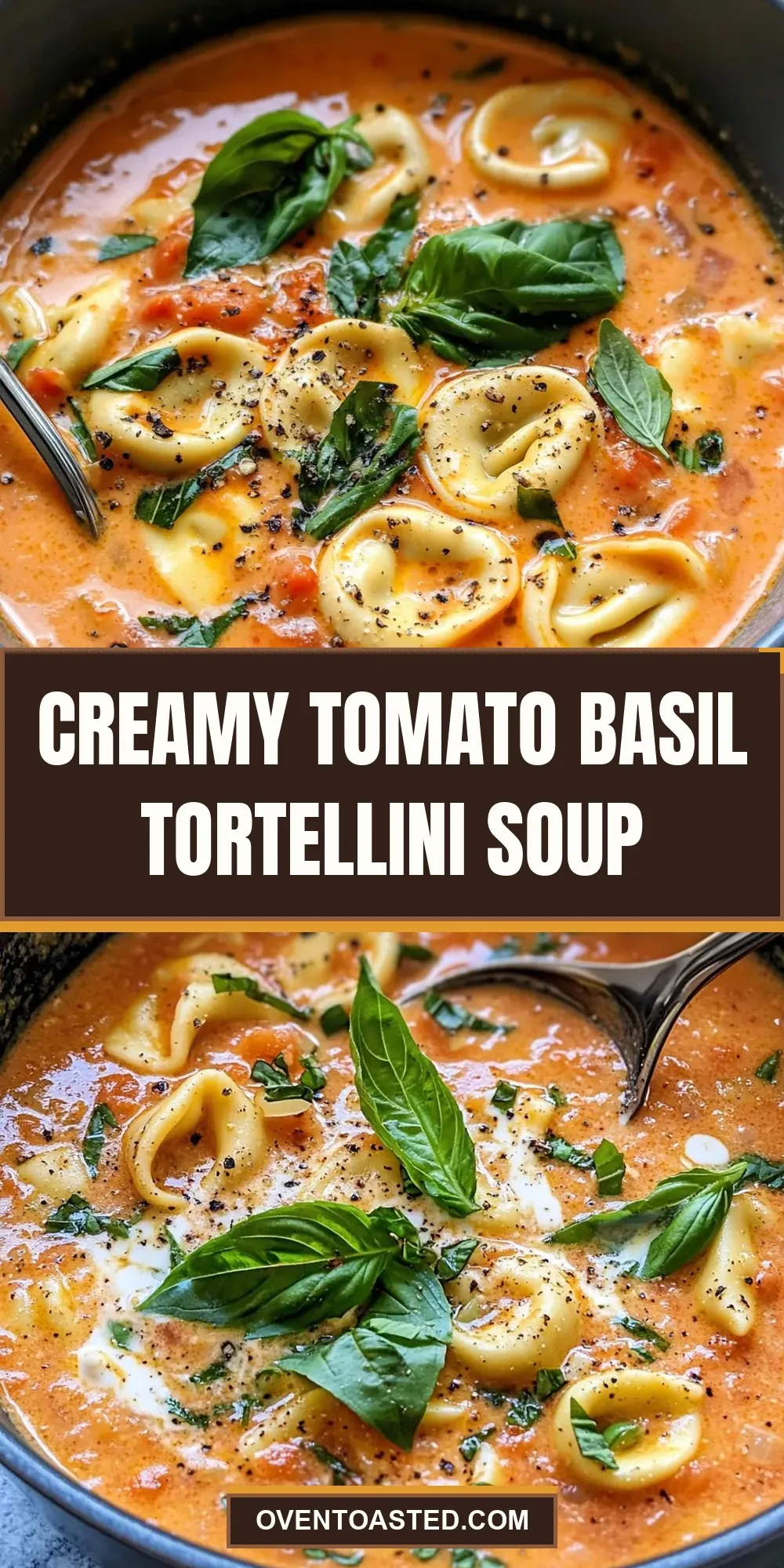 Tasty Creamy Tomato Basil Tortellini Soup
