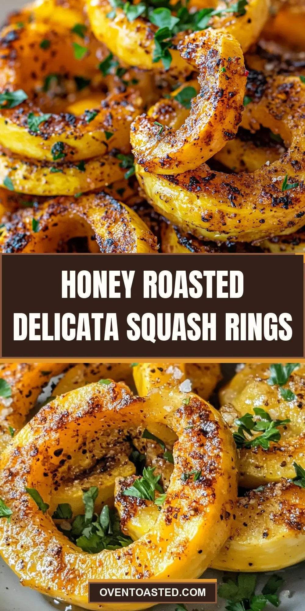 Ultimate Honey Roasted Delicata Squash Rings