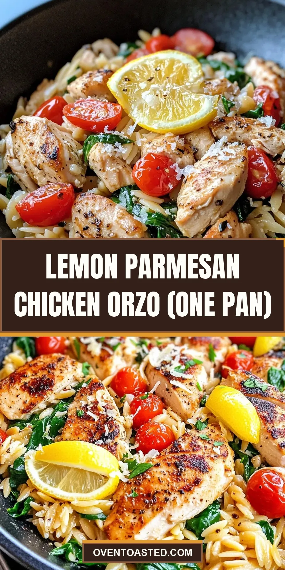 Easy Lemon Parmesan Chicken Orzo (One Pan) Recipe