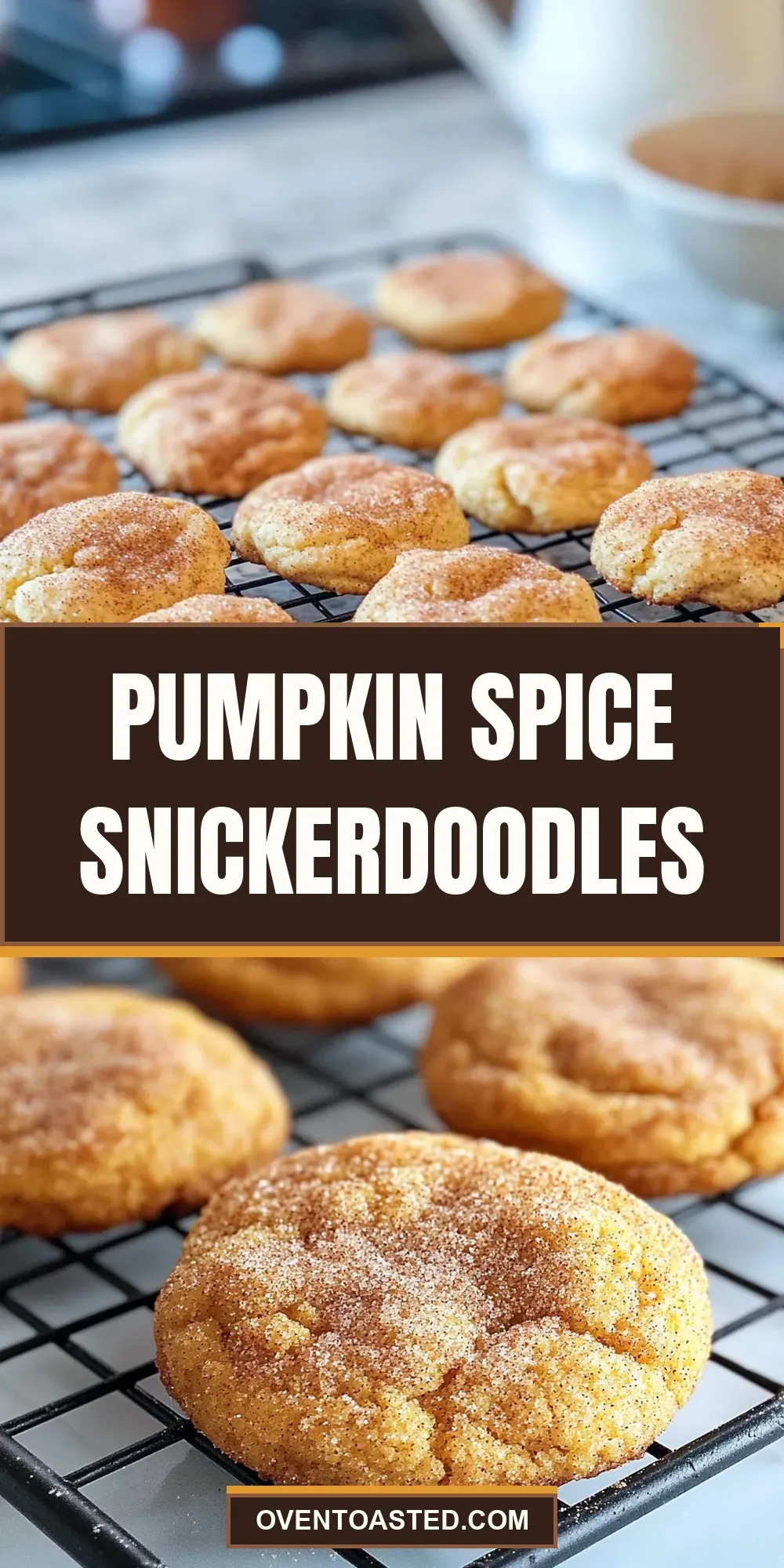Pumpkin Spice Snickerdoodles (Delicious & Delicious)