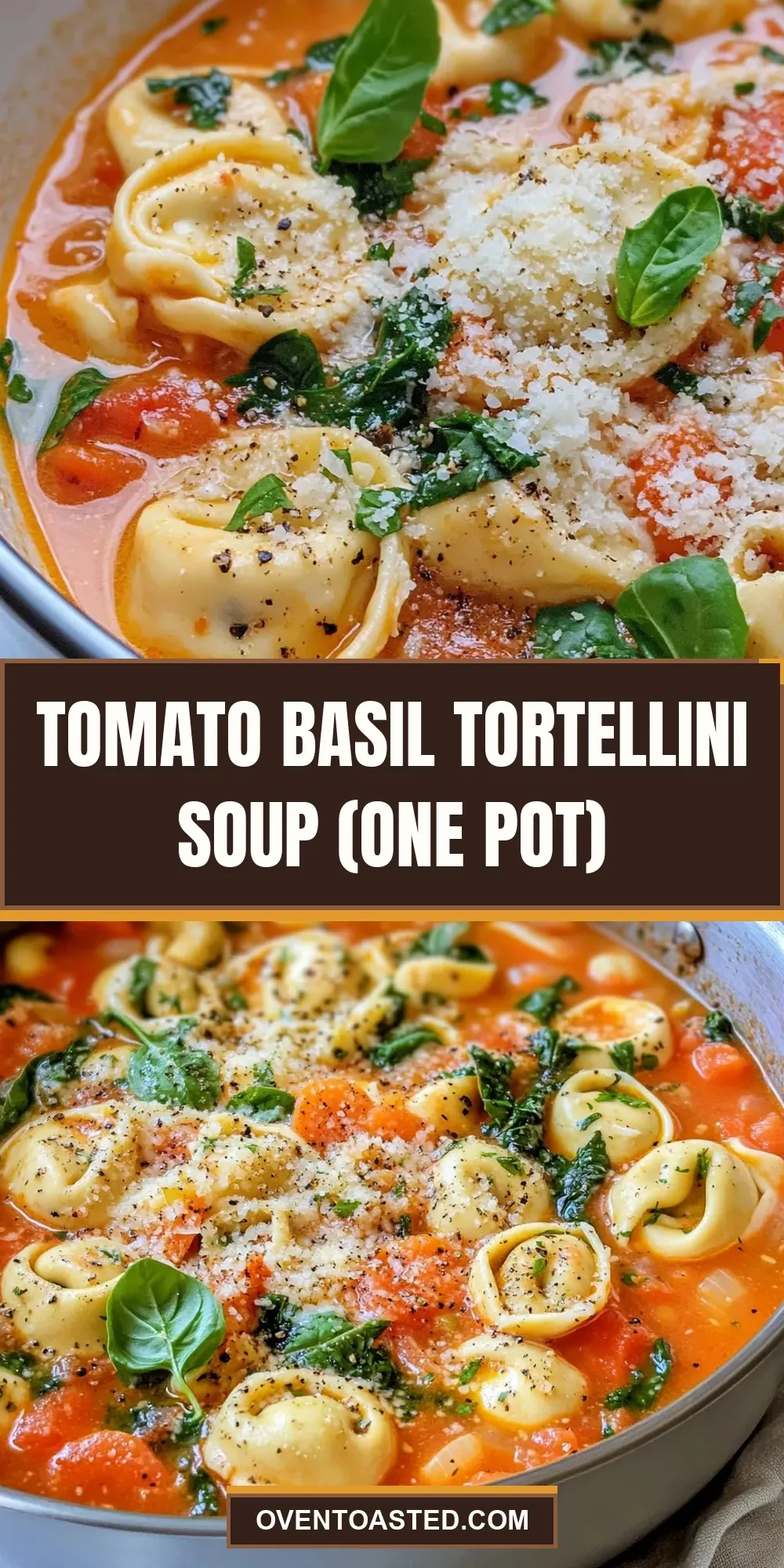 Flavorful Tomato Basil Tortellini Soup (One Pot)