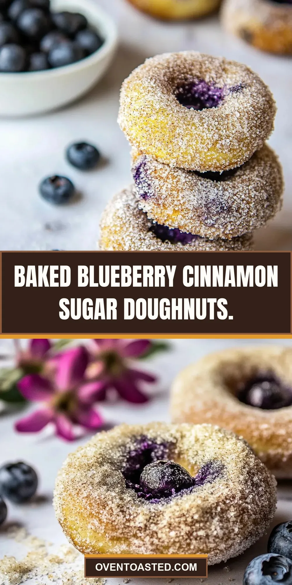Baked Blueberry Cinnamon Sugar Doughnuts. Recipe