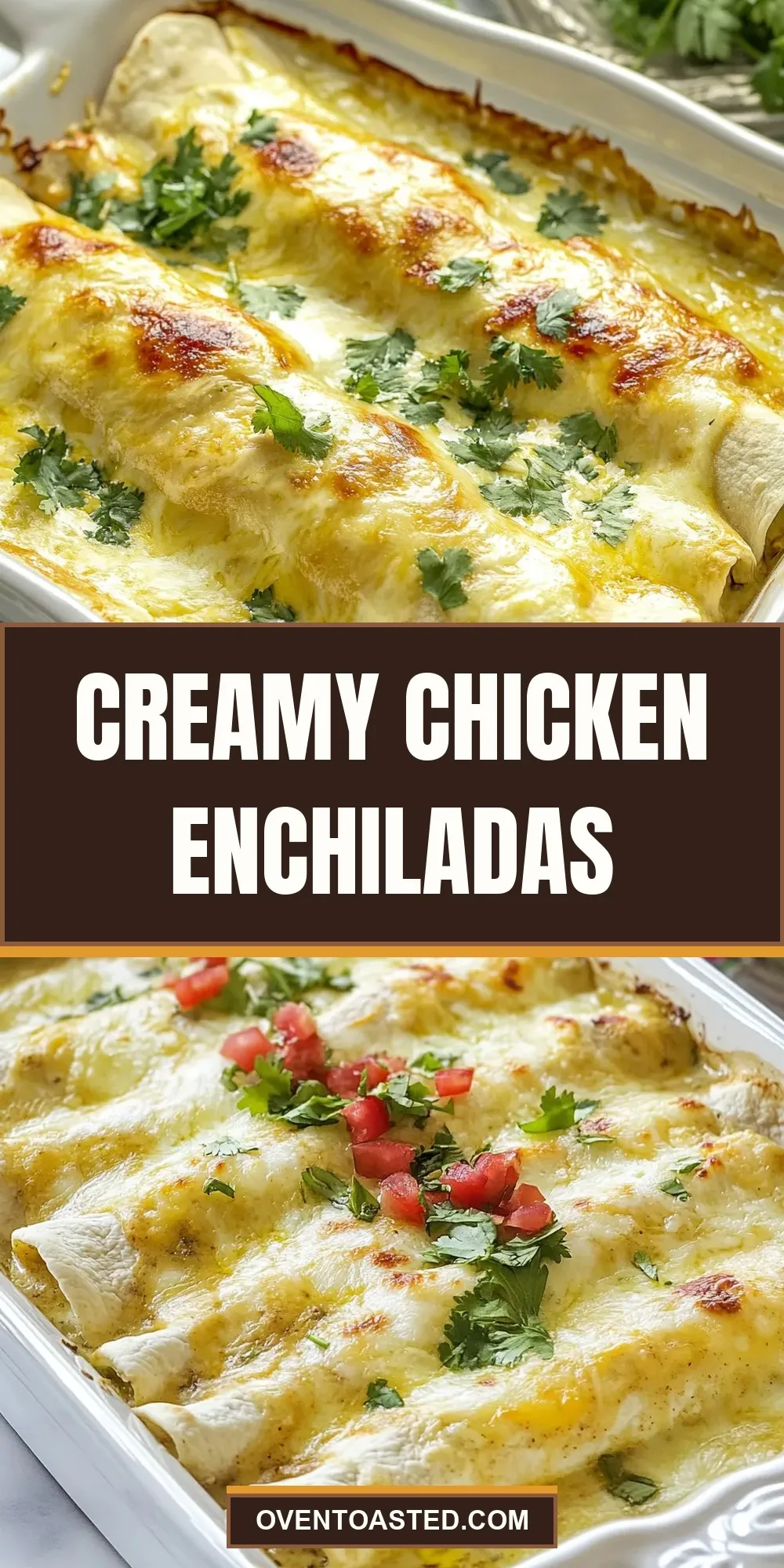 How To Make Fresh Creamy Chicken Enchiladas