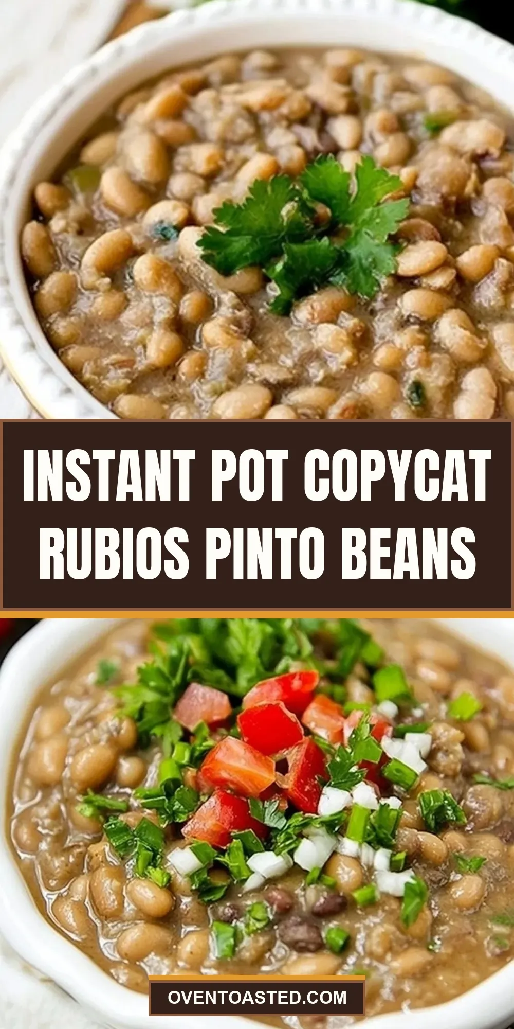 Instant Pot Copycat Rubios Pinto Beans Recipe