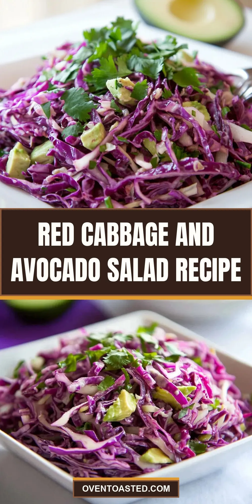 The Best Red Cabbage And Avocado Salad Ever