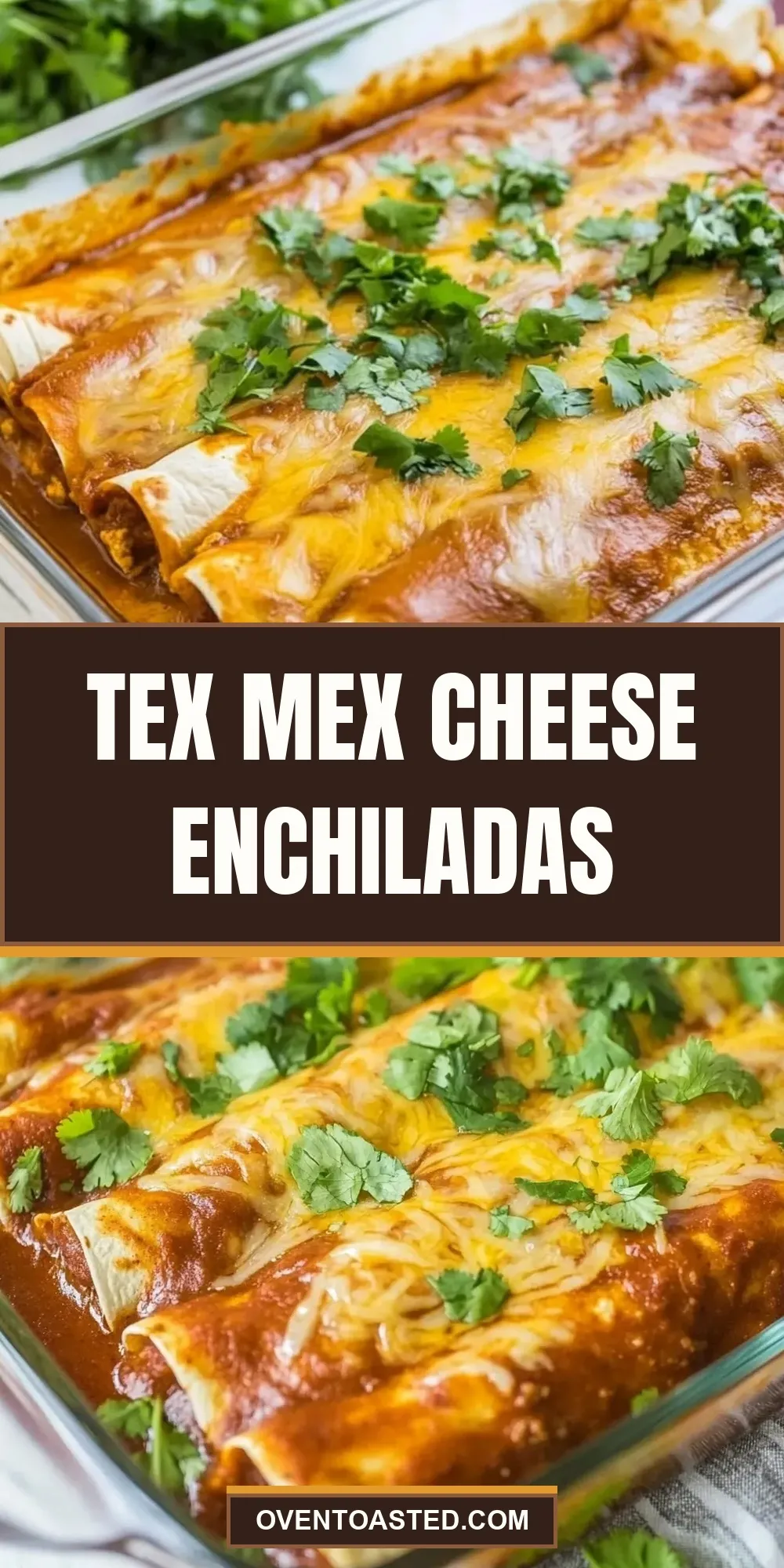 Tex Mex Cheese Enchiladas (Easy & Delicious)