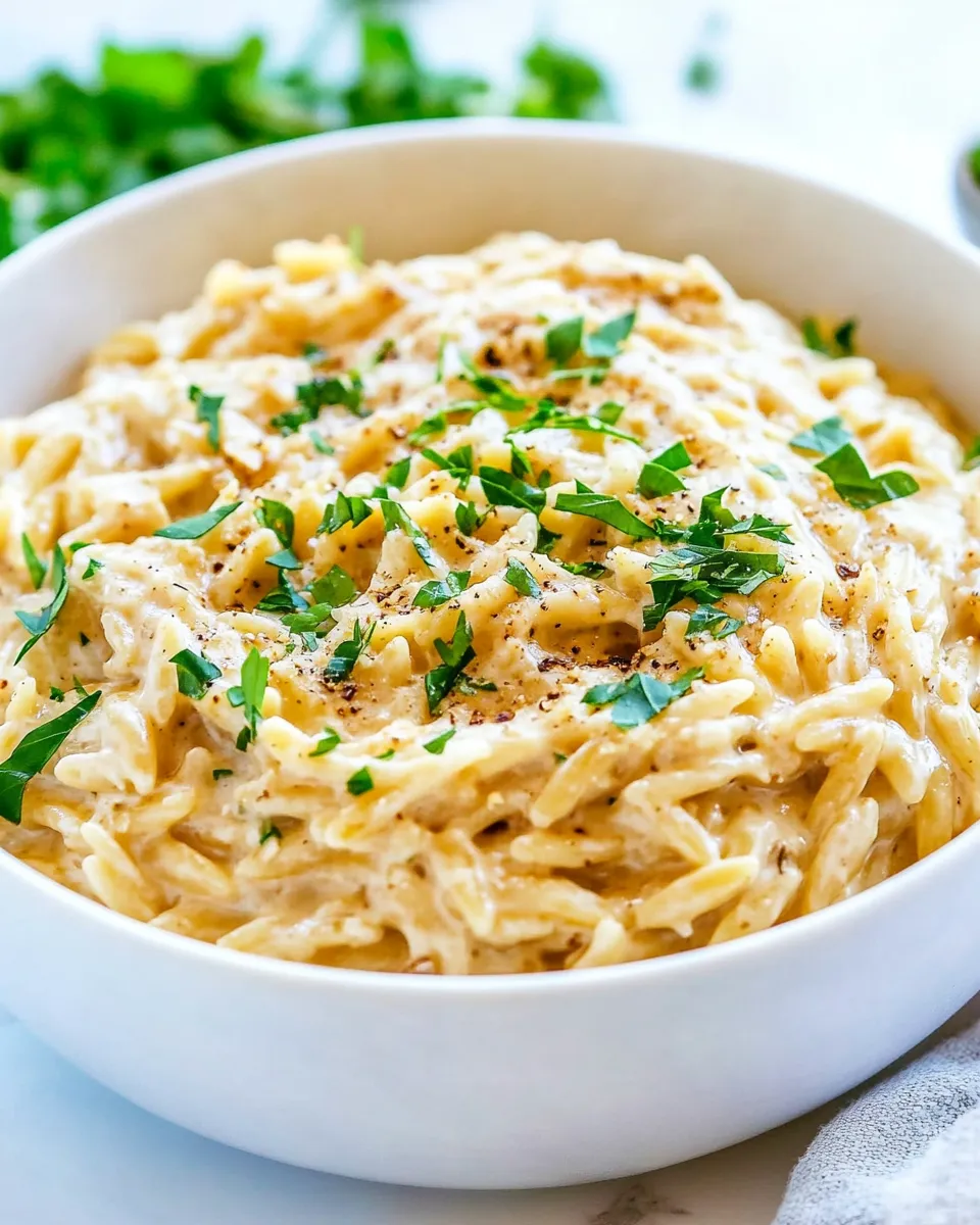 Easy 15 Minute Creamy Garlic Parmesan Orzo recipe photo