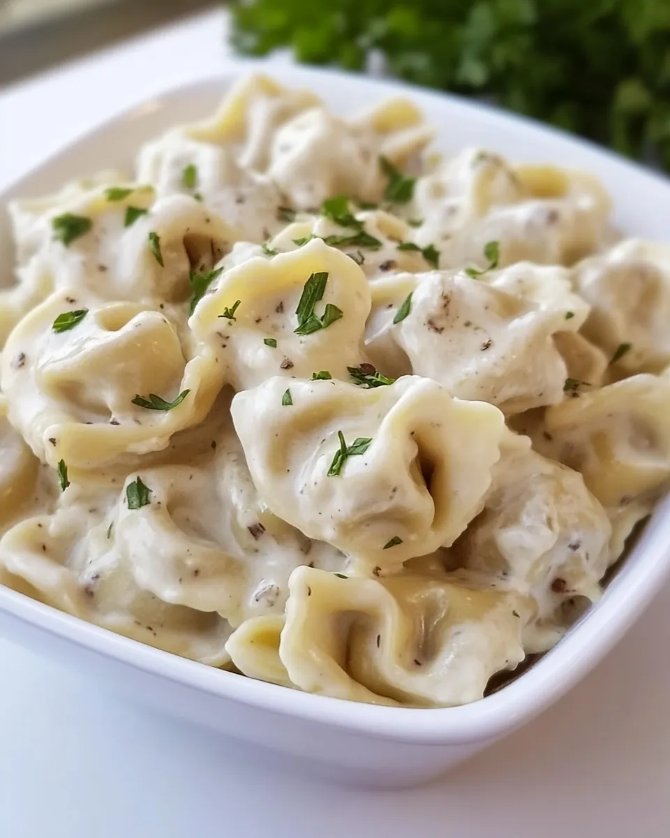 Homemade Cheesy Tortellini Pasta photo
