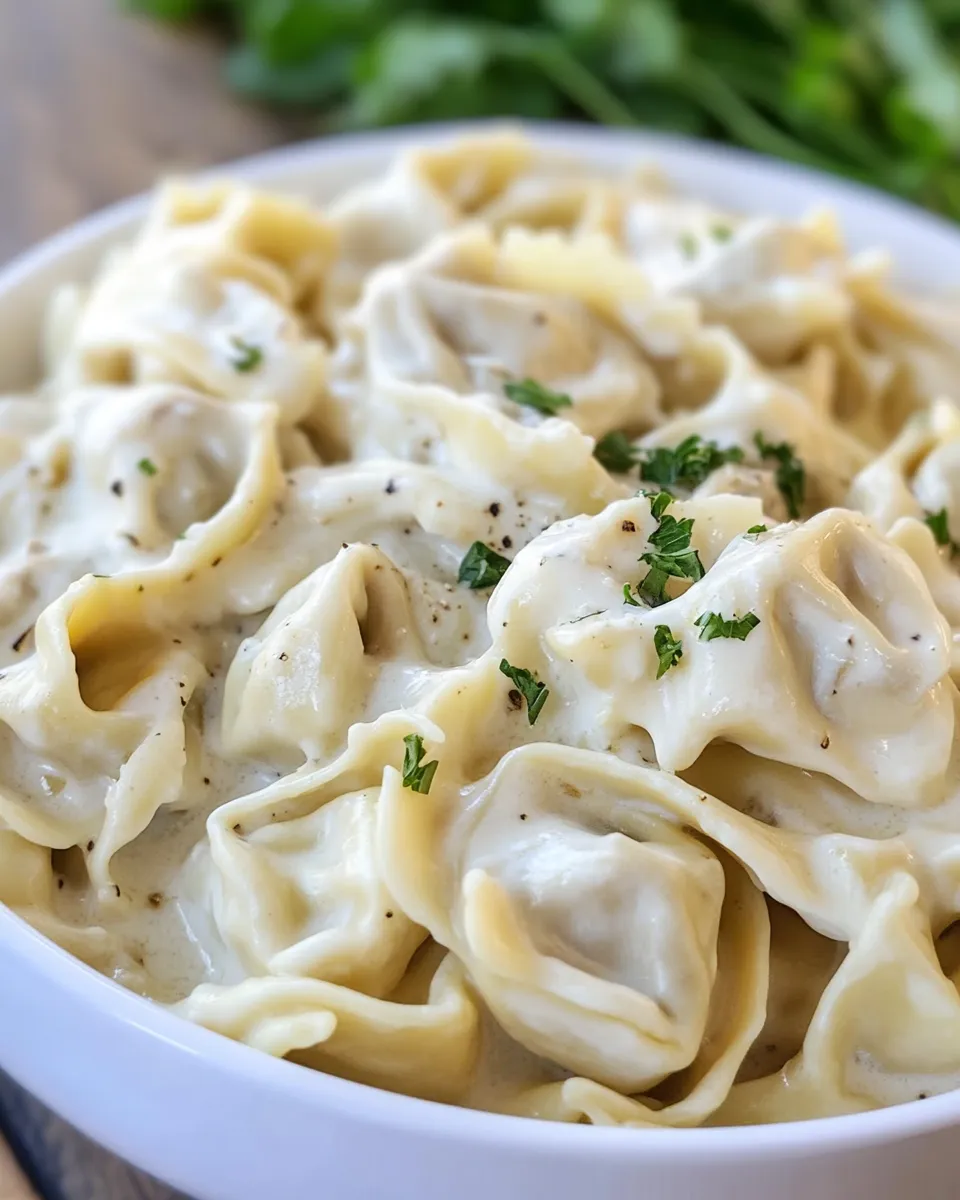 Delicious Cheesy Tortellini Pasta shot
