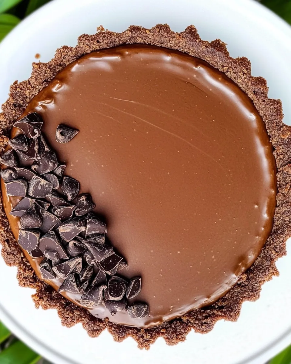 Delicious Vegan Chocolate Tart shot