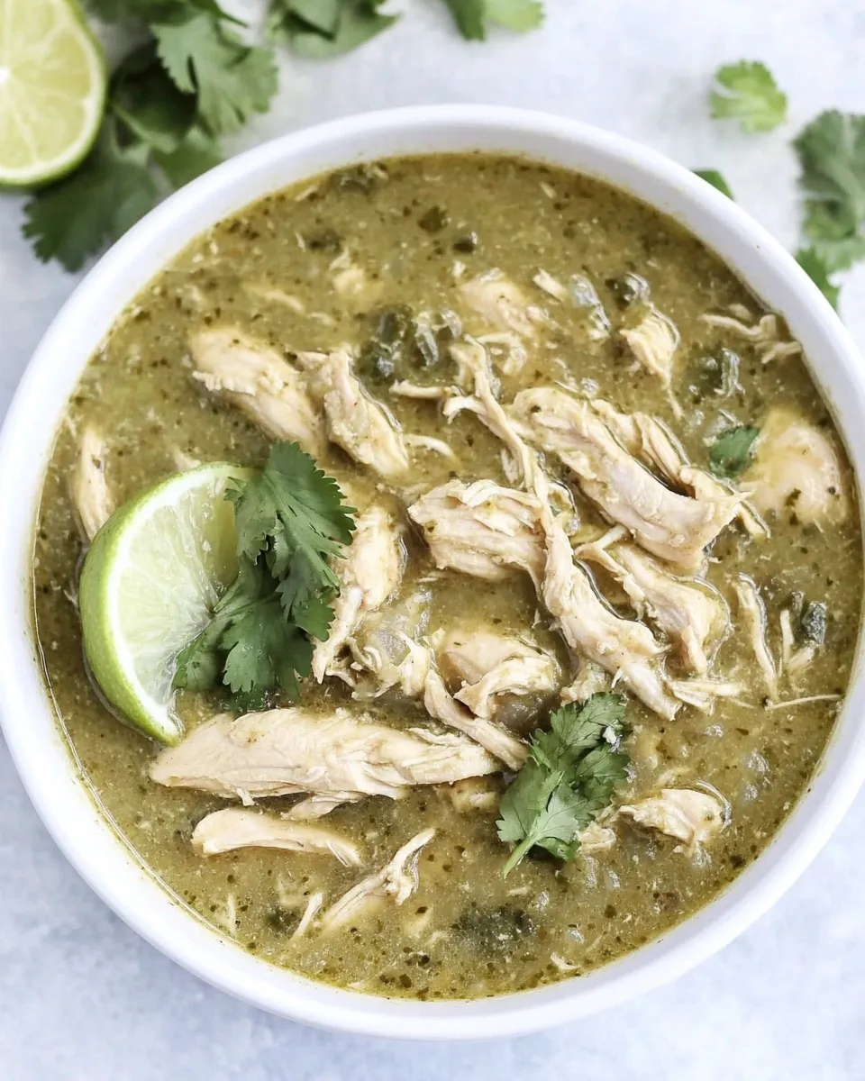 Classic 4-Ingredient Instant Pot Chicken Chile Verde dish photo