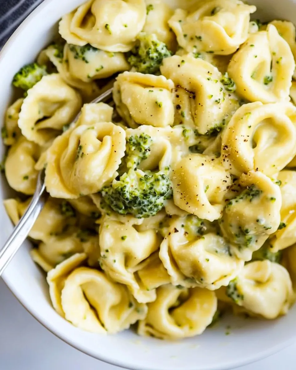Classic Broccoli Alfredo Tortellini Recipe shot