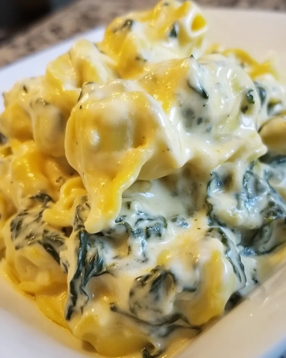 Homemade CREAMY SPINACH TORTELLINI photo