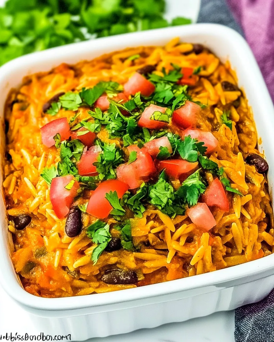 Homemade Chicken Enchilada Orzo photo