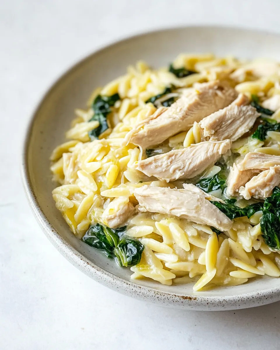 Delicious Lemon Chicken Orzo shot