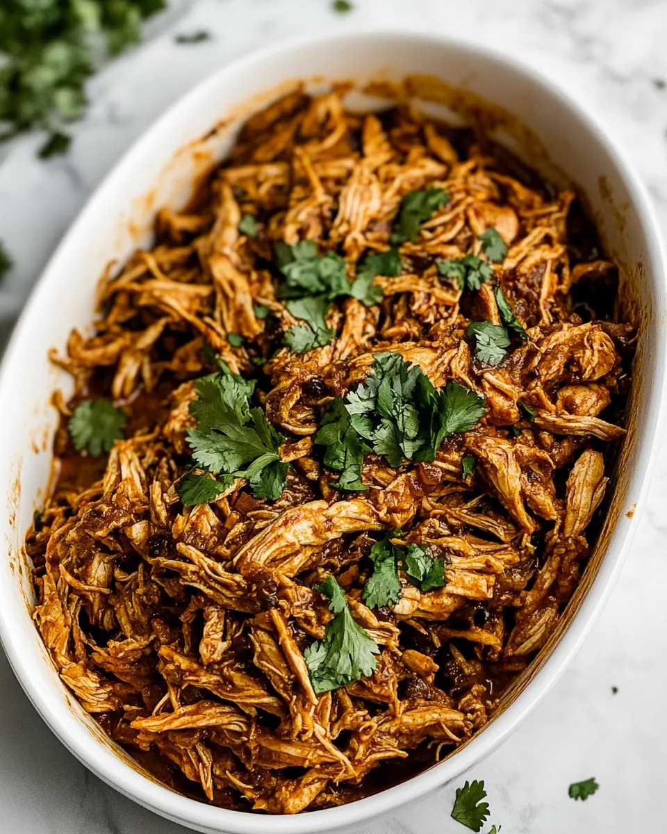 Easy Mexican Shredded Chicken recipe photo