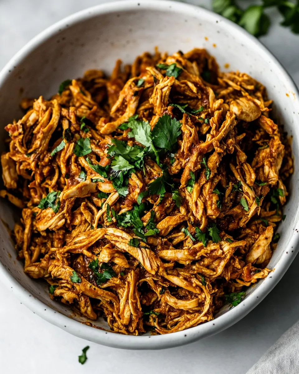 Delicious Mexican Shredded Chicken dish photo