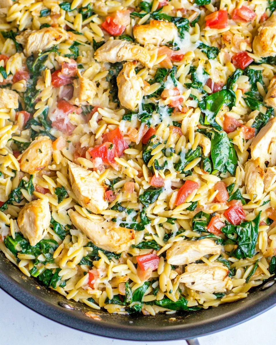 Easy One-Pan Chicken and Spinach Orzo photo