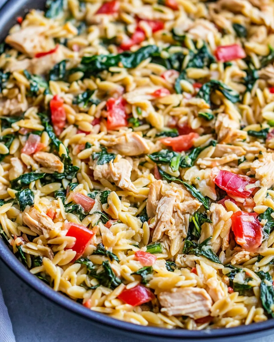 Delicious One-Pan Chicken and Spinach Orzo image