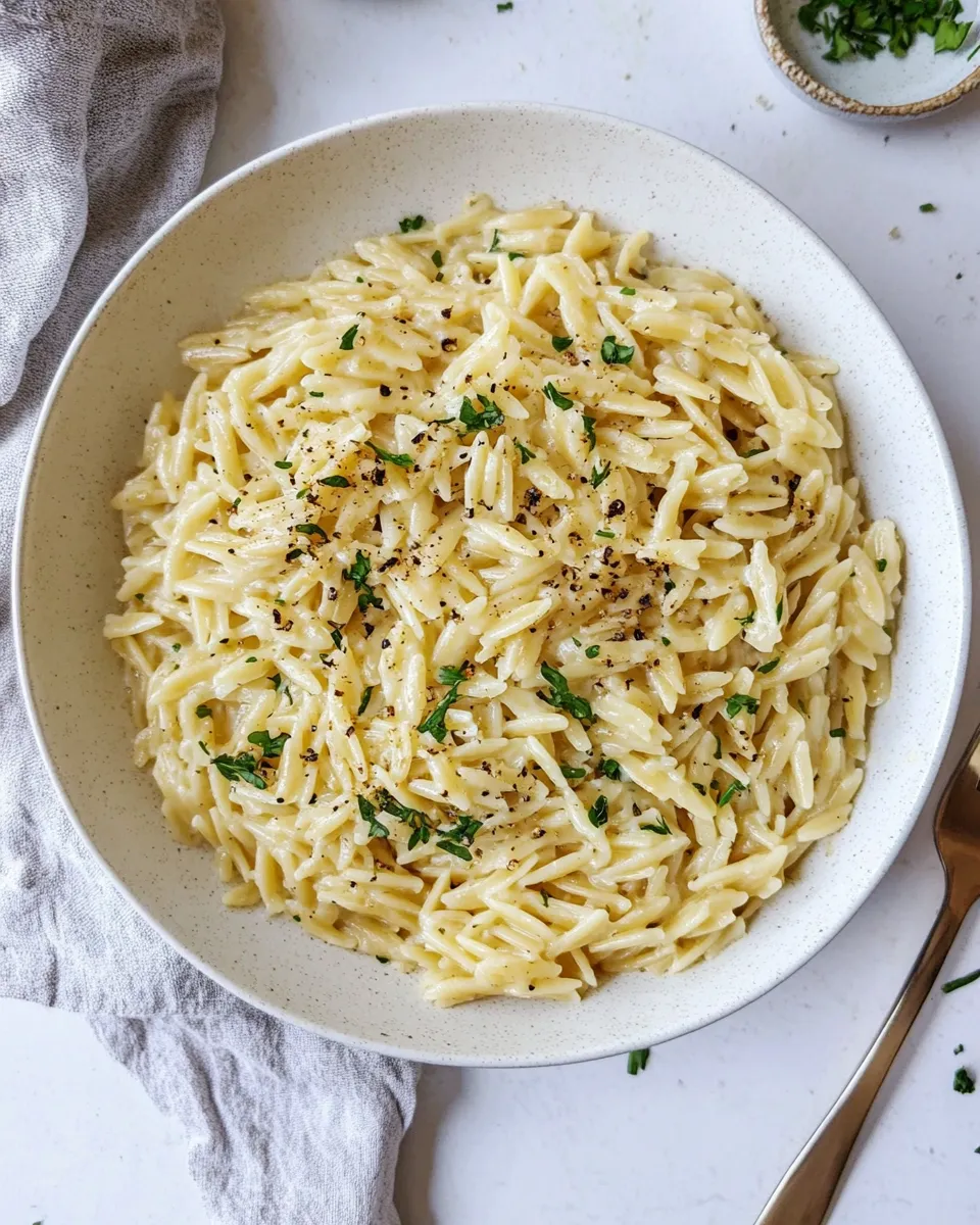 Homemade Parmesan Herb Orzo. photo