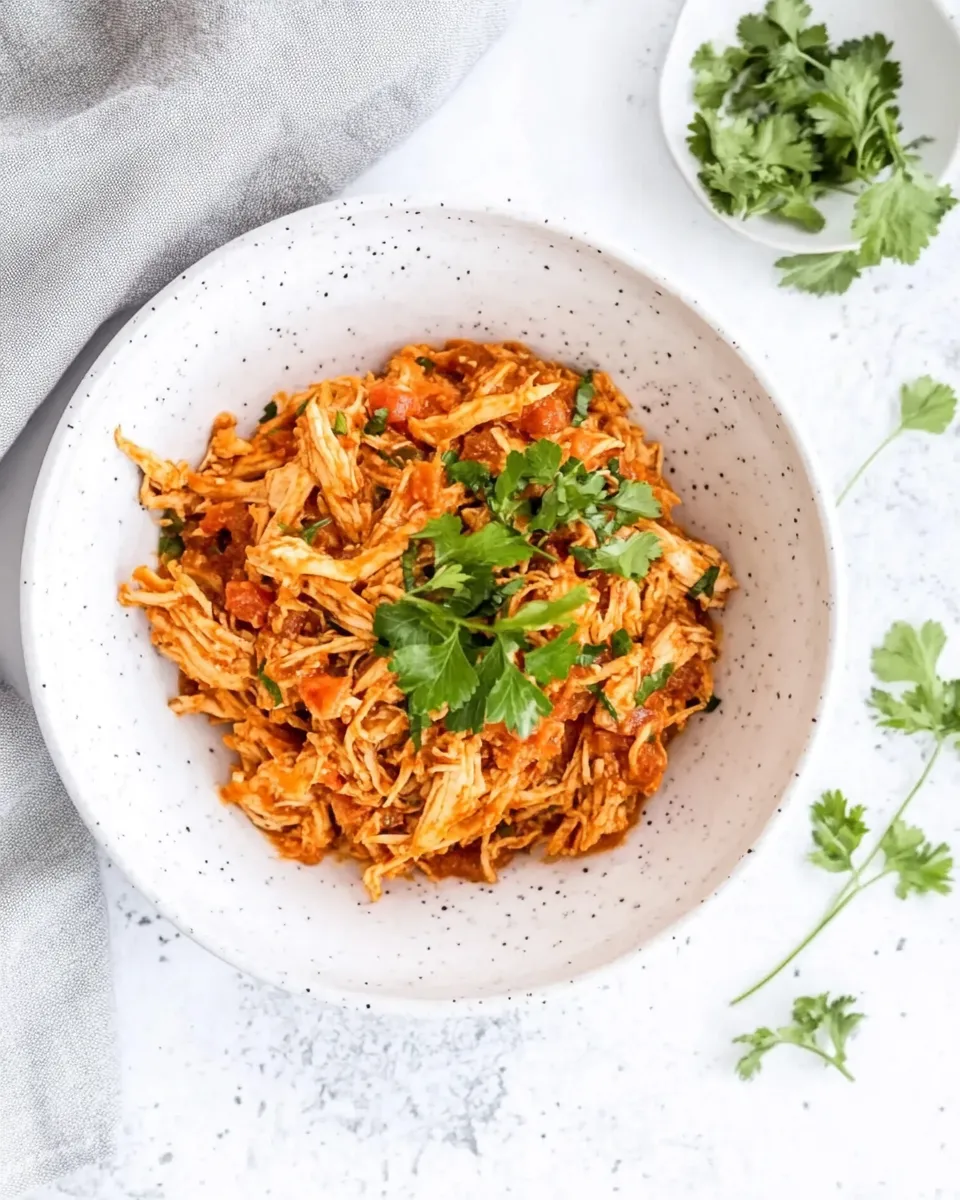 Delicious Pulled Chicken with Tomato Sauce Filling shot