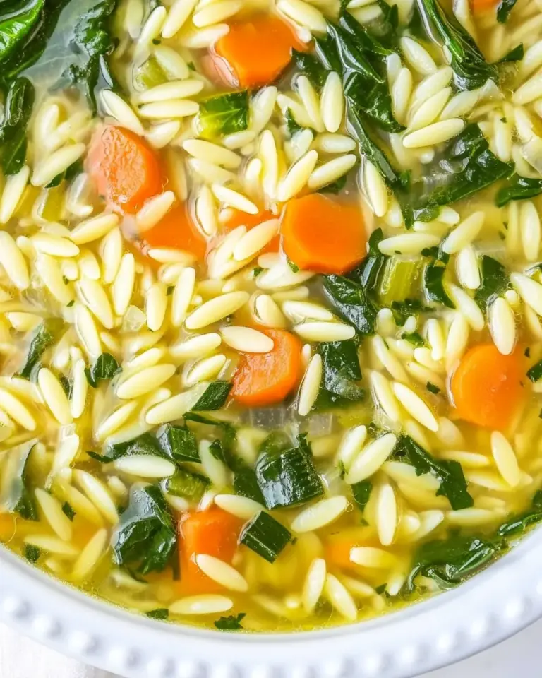 Easy Quick Orzo Soup photo
