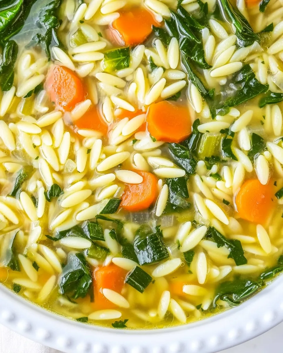 Easy Quick Orzo Soup photo
