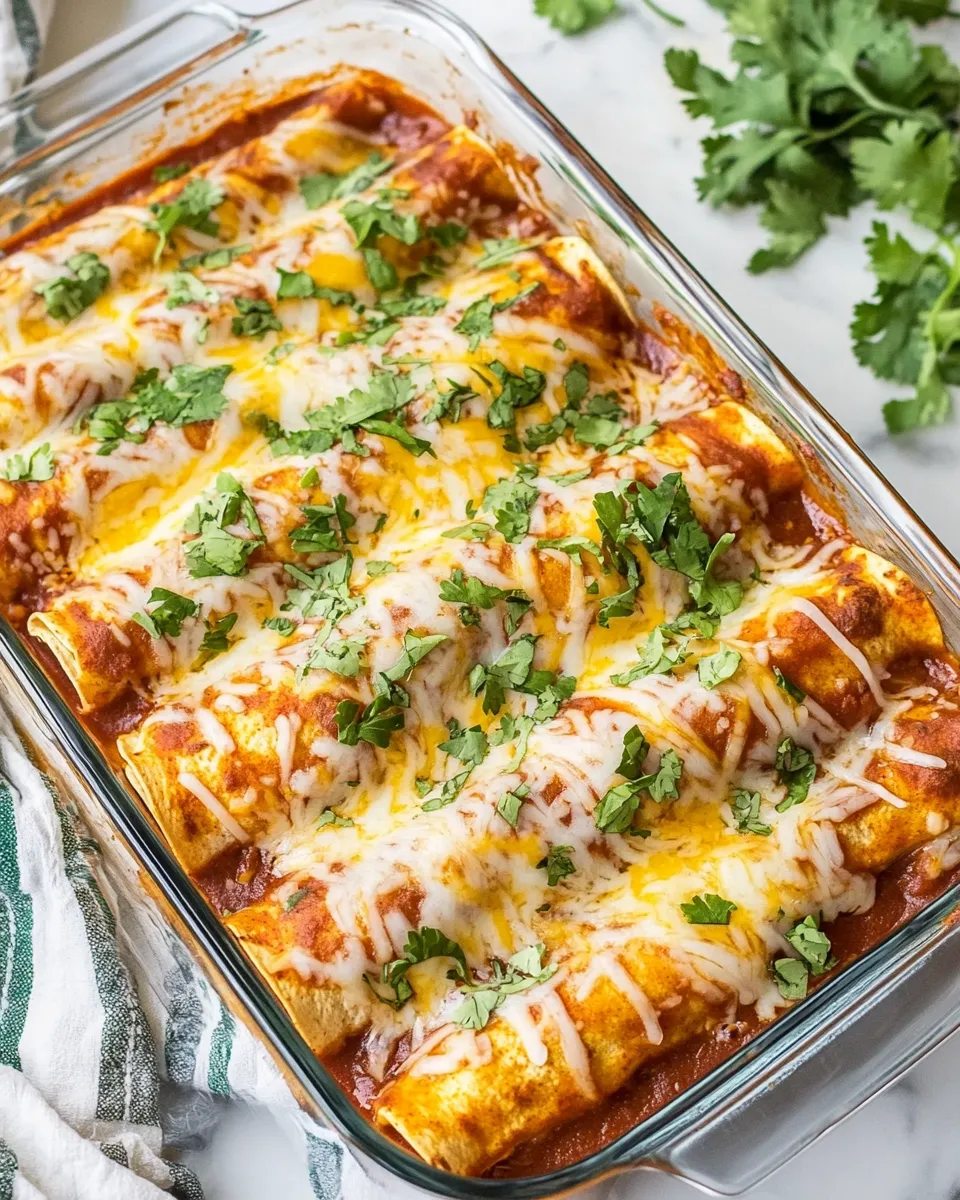 Classic Zucchini Beef Enchiladas dish photo